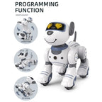 MyToys Remote Control Robot Dog Toy for Kids – Interactive Smart Walking & Dancing Puppy