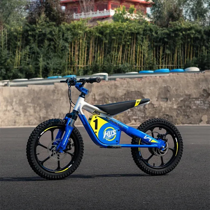 HUS V1 Kids Dirt E-Bike | 653W Brushless Motor, 36V 5.0Ah Battery, Up to 33 km/h