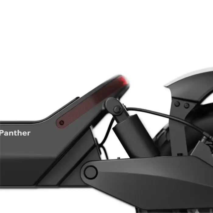 OKAI Panther ES800 Dual Motor Off-Road Electric Kick Scooter (3000W | 60 km/h | 74 km Range)